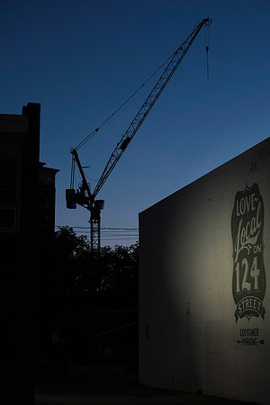 Crane lovers local