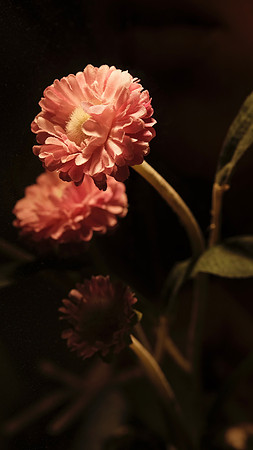 Wilting is for suckers